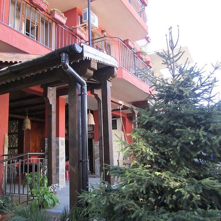 Terra Guest House Равда Экстерьер фото